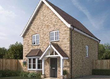 Thumbnail Detached house for sale in The Paddocks, Blofield Heath, Norfolk