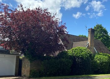 Thumbnail Detached house to rent in Penwood Lane, Marlow, Buckinghamshire