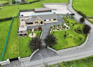 Newry - Detached house for sale