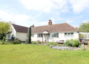 Thumbnail Bungalow for sale in Toppesfield Road, Finchingfield