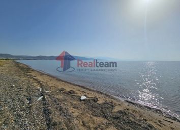 Thumbnail Land for sale in Nea Anchialos 374 00, Greece