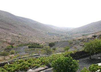 3 bed apartment for sale in Haria, Lanzarote, Spain