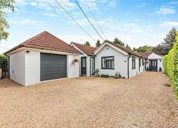 Thumbnail 4 bed bungalow for sale in Broad Lane, Upper Bucklebury, Reading