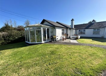 Thumbnail Bungalow to rent in Marhamchurch, Bude