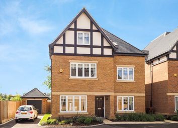 6 Bedroom  for rent