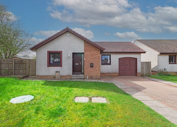 Thumbnail Detached bungalow for sale in St Serfs Road, Crook Of Devon, Kinross