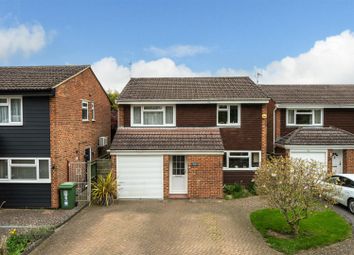 4-Elstree-Road-1023.Jpg