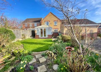 Thumbnail Detached house for sale in Burchnall Close, Deeping St. James, Peterborough