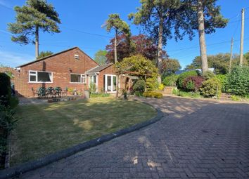 Mantles Hill, Ripple CT14, south east england