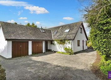 Thumbnail Detached house for sale in Chestnut Hill, Keswick