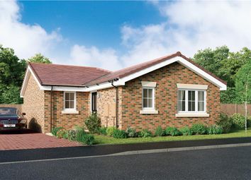 Thumbnail 2 bedroom bungalow for sale in "Richmond" at Hinckley Road, Stoke Golding, Nuneaton