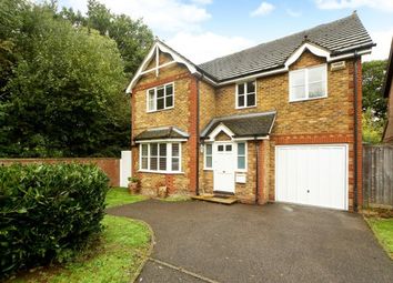 4 Bedroom  for rent