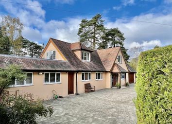 Thumbnail Detached house for sale in The Glade, Ashley Heath