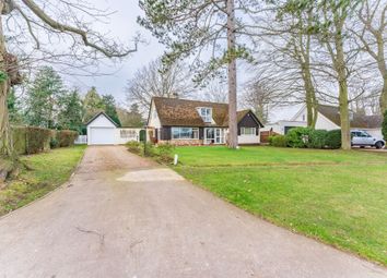 Thumbnail Detached house for sale in The Avenue, Wroxham