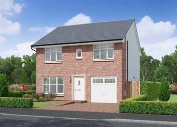 Thumbnail 4 bedroom detached house for sale in "Elland" at Cherrytree Gardens, Bishopton