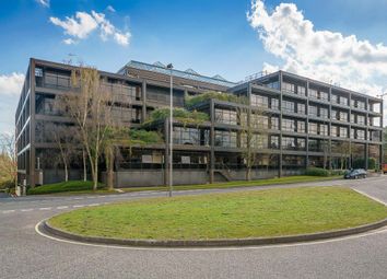 Thumbnail Office to let in Belvedere House, Basing View, Basingstoke