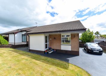 Thumbnail 2 bed bungalow for sale in Stratheden Heights, Newtownards