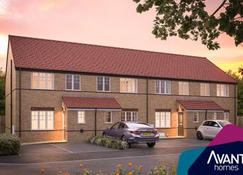 Thumbnail Terraced house for sale in "The Ripon" at Tibshelf Road, Holmewood, Chesterfield