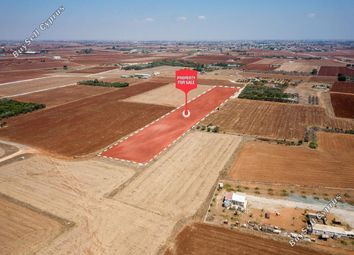 Thumbnail Land for sale in Avgorou, Famagusta, Cyprus