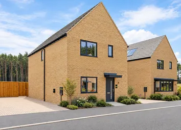 The Bookham, Number 31