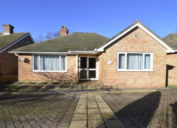 4 Bedroom Detached bungalow for sale
