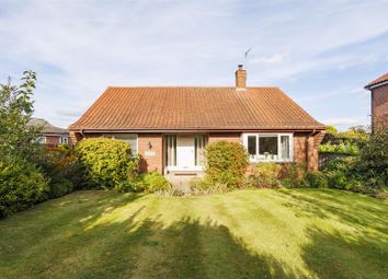 Thumbnail Property for sale in Newton Road, Tollerton, York