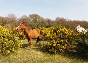 Thumbnail 2 bed end terrace house for sale in Exbury Road, Southampton