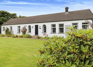 Thumbnail 5 bed country house for sale in 61 Ballyeasborough Road, Kircubbin