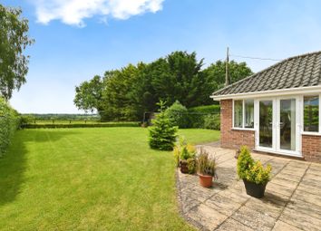 Thumbnail 3 bedroom bungalow for sale in High Road, Roydon, Diss