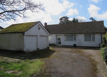 Thumbnail Detached bungalow for sale in Forest Road, Thorney Hill, Bransgore, Christchurch