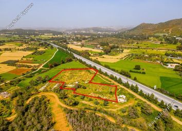 Thumbnail Land for sale in Kornos, Larnaca, Cyprus