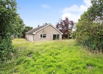 Thumbnail 4 bed bungalow for sale in The Orchard, Urchfont, Devizes, Wiltshire