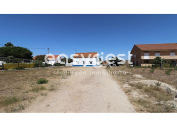 Thumbnail Farm for sale in Street Name Upon Request, São Francisco, Pt