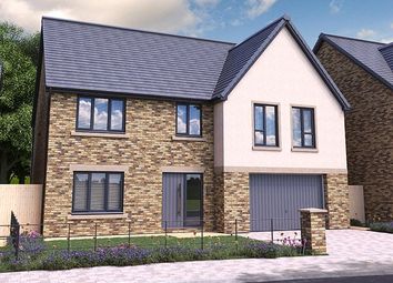 Thumbnail Detached house for sale in Plot 3, Eastfields, Whitton