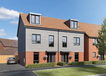 The Owlton CGI