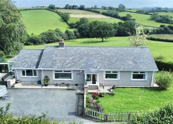 Property listing in Aberystwyth, Ceredigion