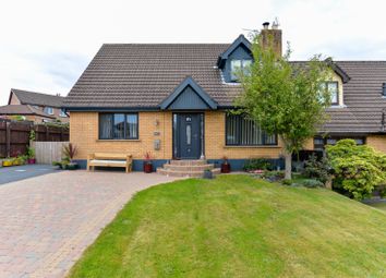 Thumbnail 4 bed bungalow for sale in Old Mill Rise, Dundonald, Belfast