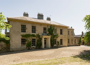 The Manor