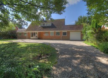 Thumbnail Detached house for sale in The Avenue, Wroxham, Norwich