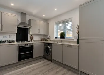 Poplar-Kitchen