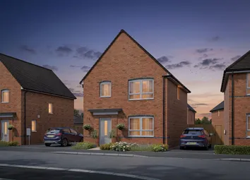 Collaton Dusk