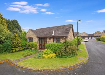 Thumbnail Bungalow to rent in Bumbles Close, Rochester