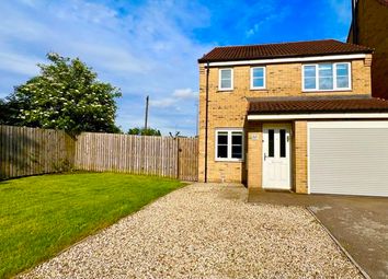 Thumbnail Detached house to rent in Turnstone Drive, Scunthorpe
