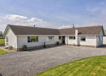 Property listing in Penrith, Cumbria