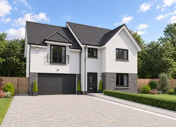 Garvie Cedar cgi Enhanced