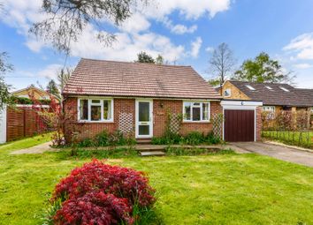 Thumbnail Bungalow for sale in Milford, Godalming, Surrey