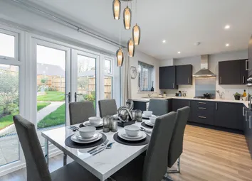 Showhome Photography