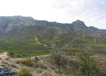 Thumbnail Land for sale in East Of Kyrenia