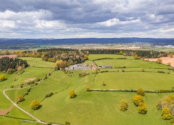 Dji_0277-Edit.Jpg