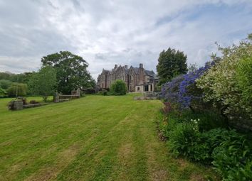 Temp Ajf Garden 10.Jpg